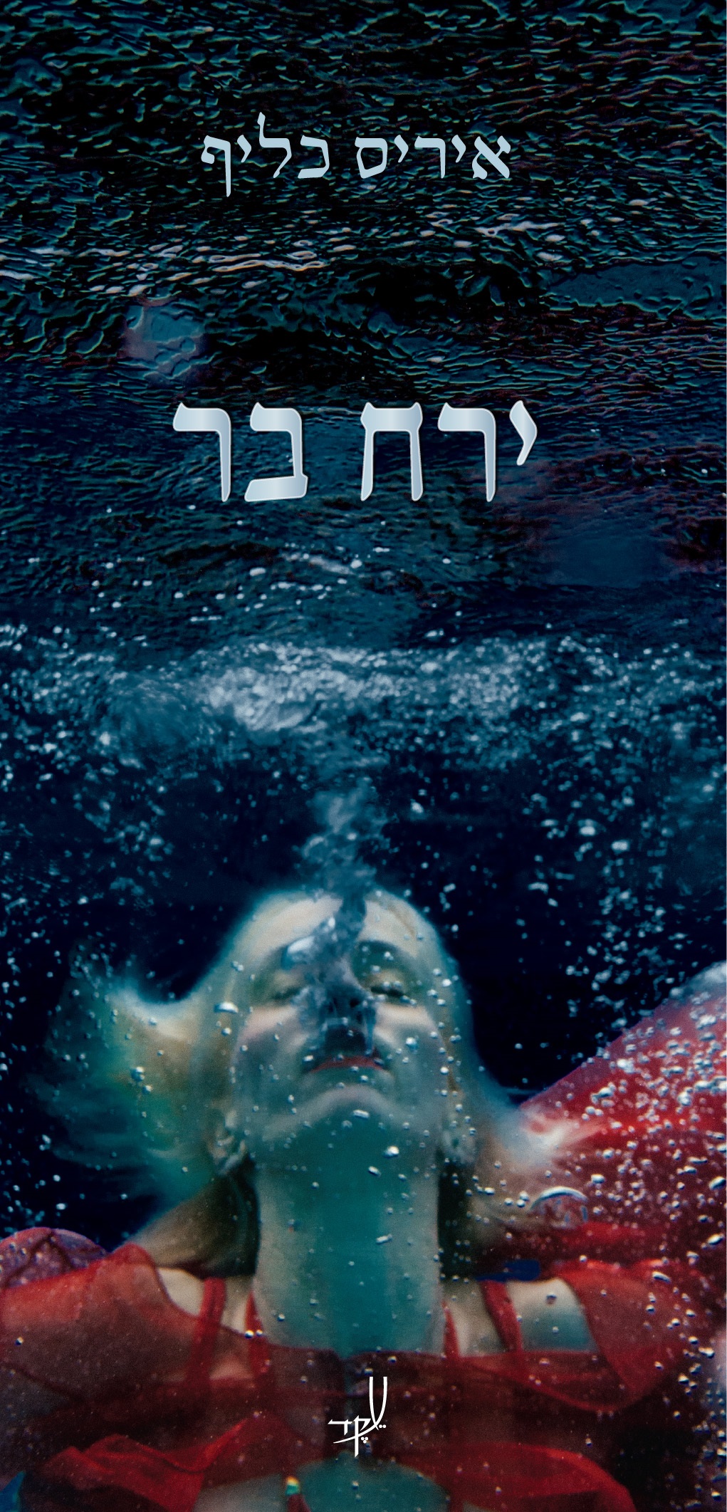 כריכת הספר